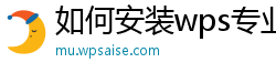 如何安装wps专业版版本软件教程下载手机桌面